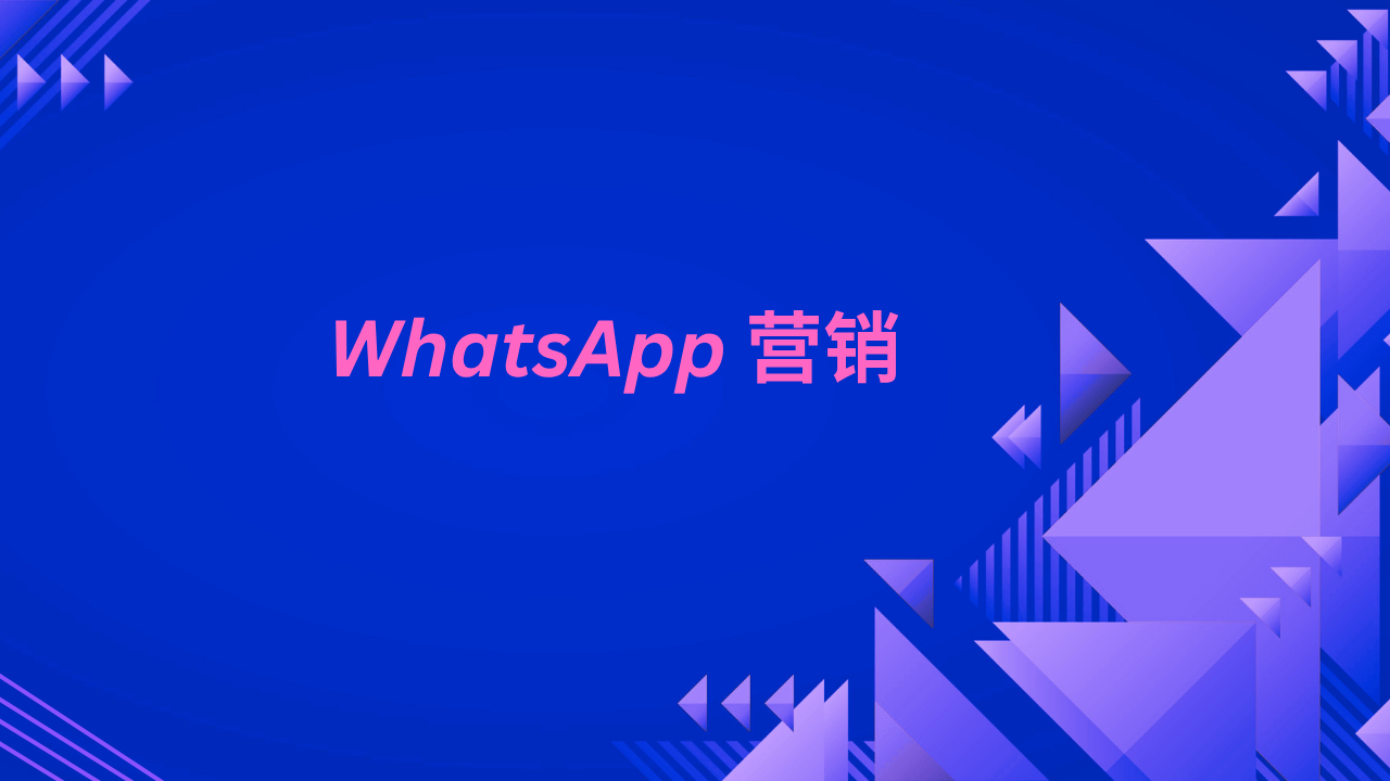 WhatsApp 营销