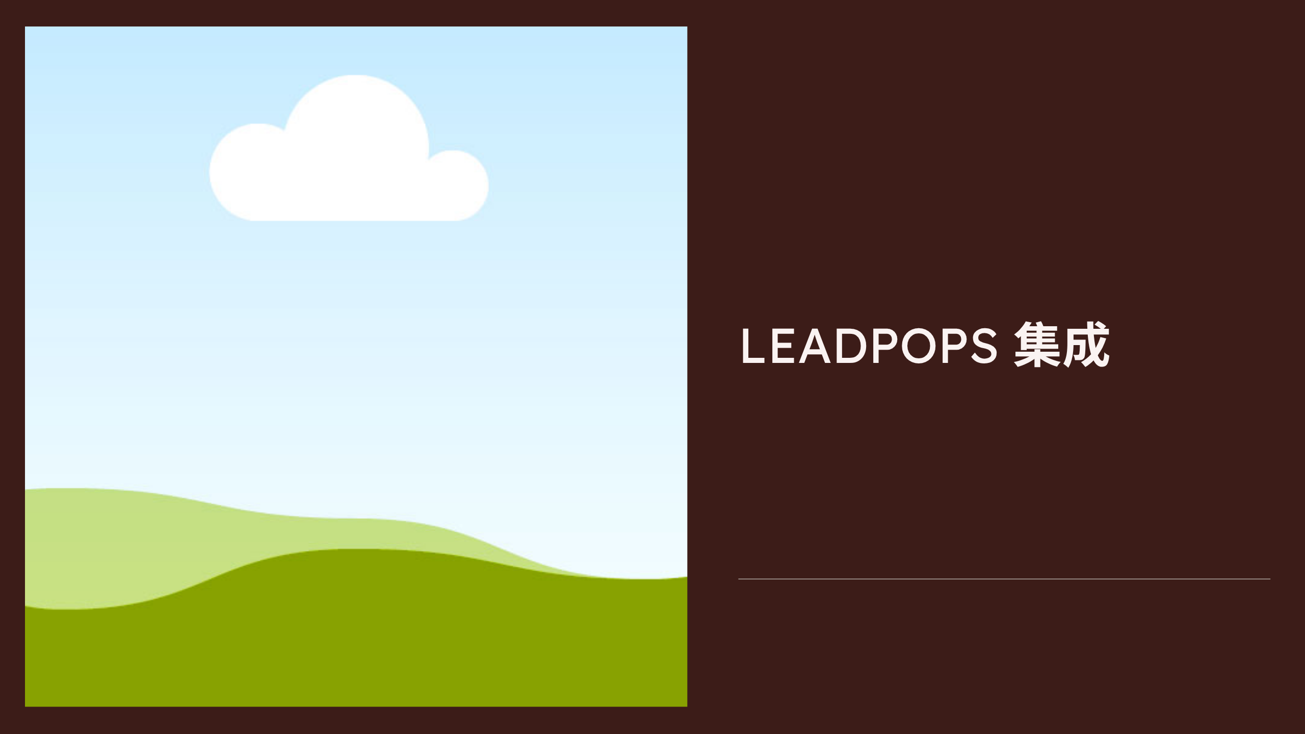 Leadpops 集成