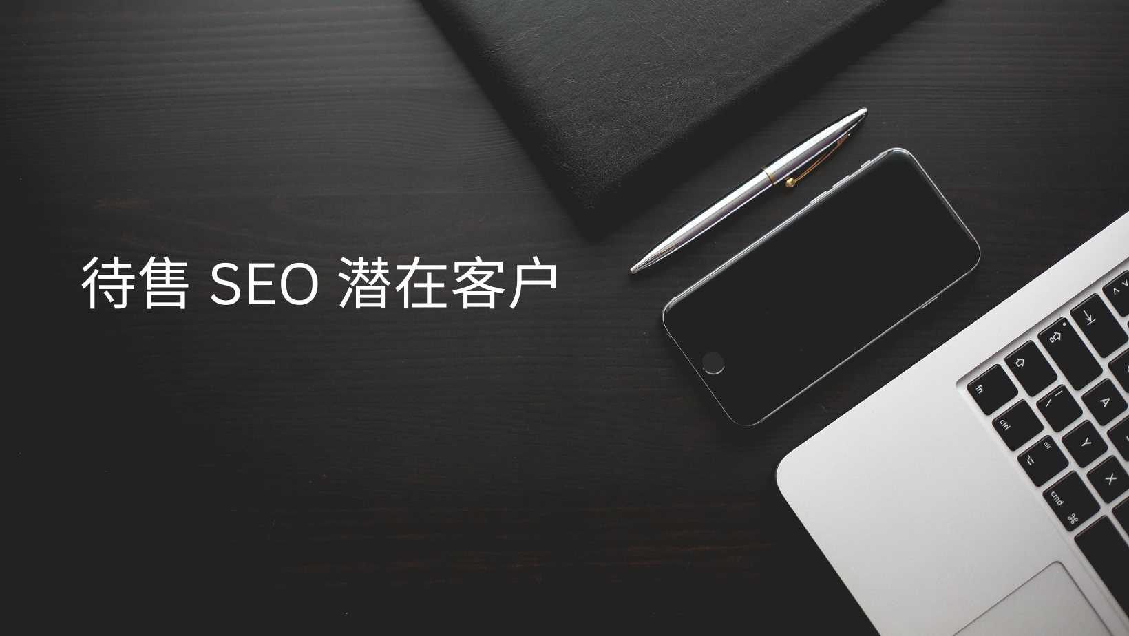待售 SEO 潜在客户