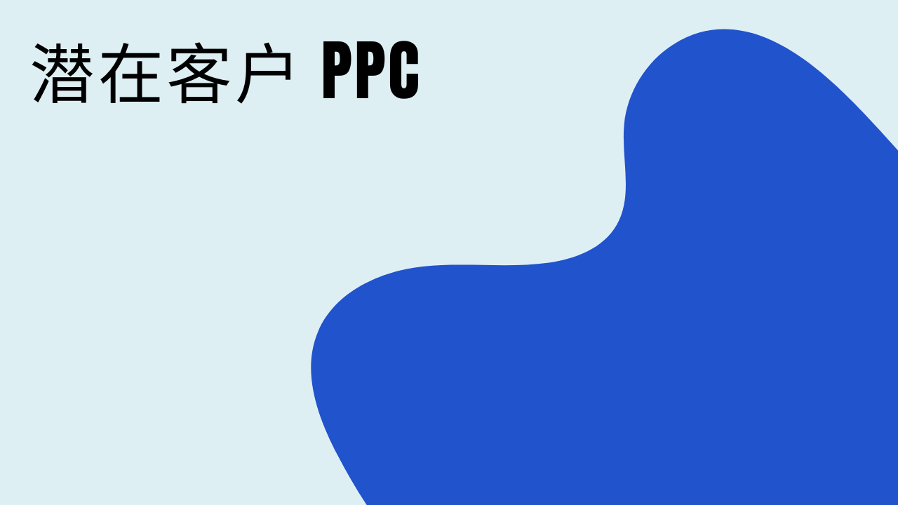 潜在客户 PPC