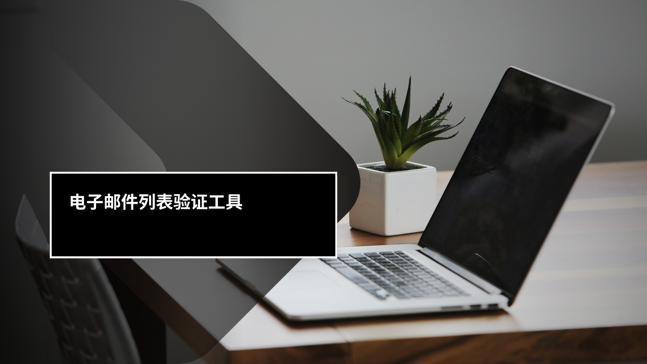 电子邮件列表验证工具