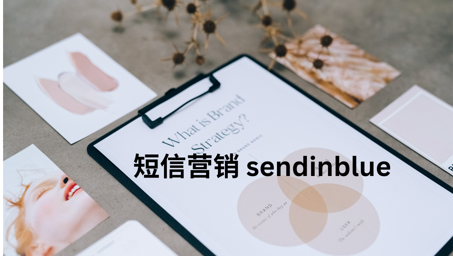 短信营销 sendinblue